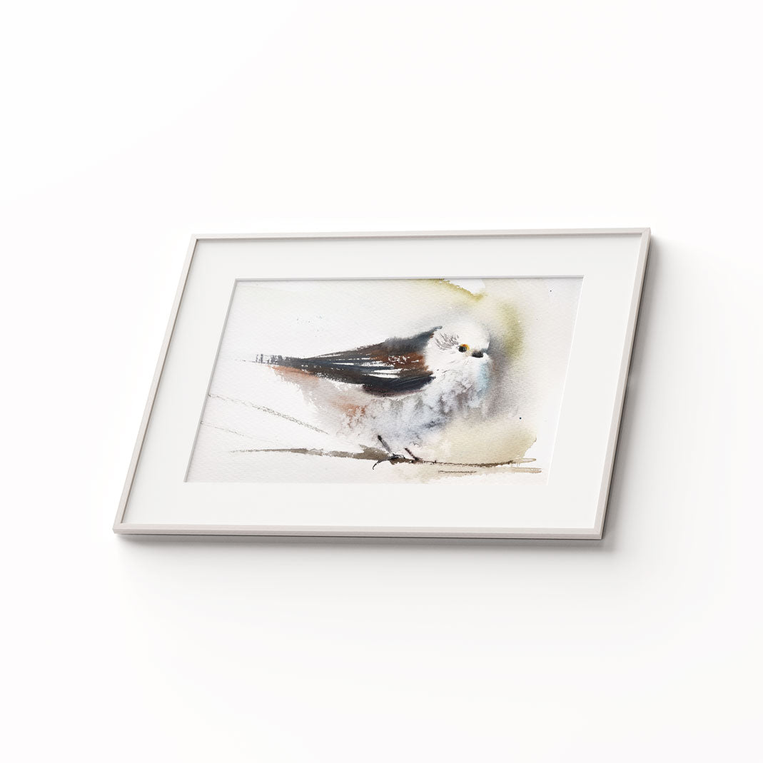 Birds-XVI - The Manify