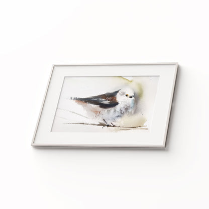 Birds-XVI - The Manify
