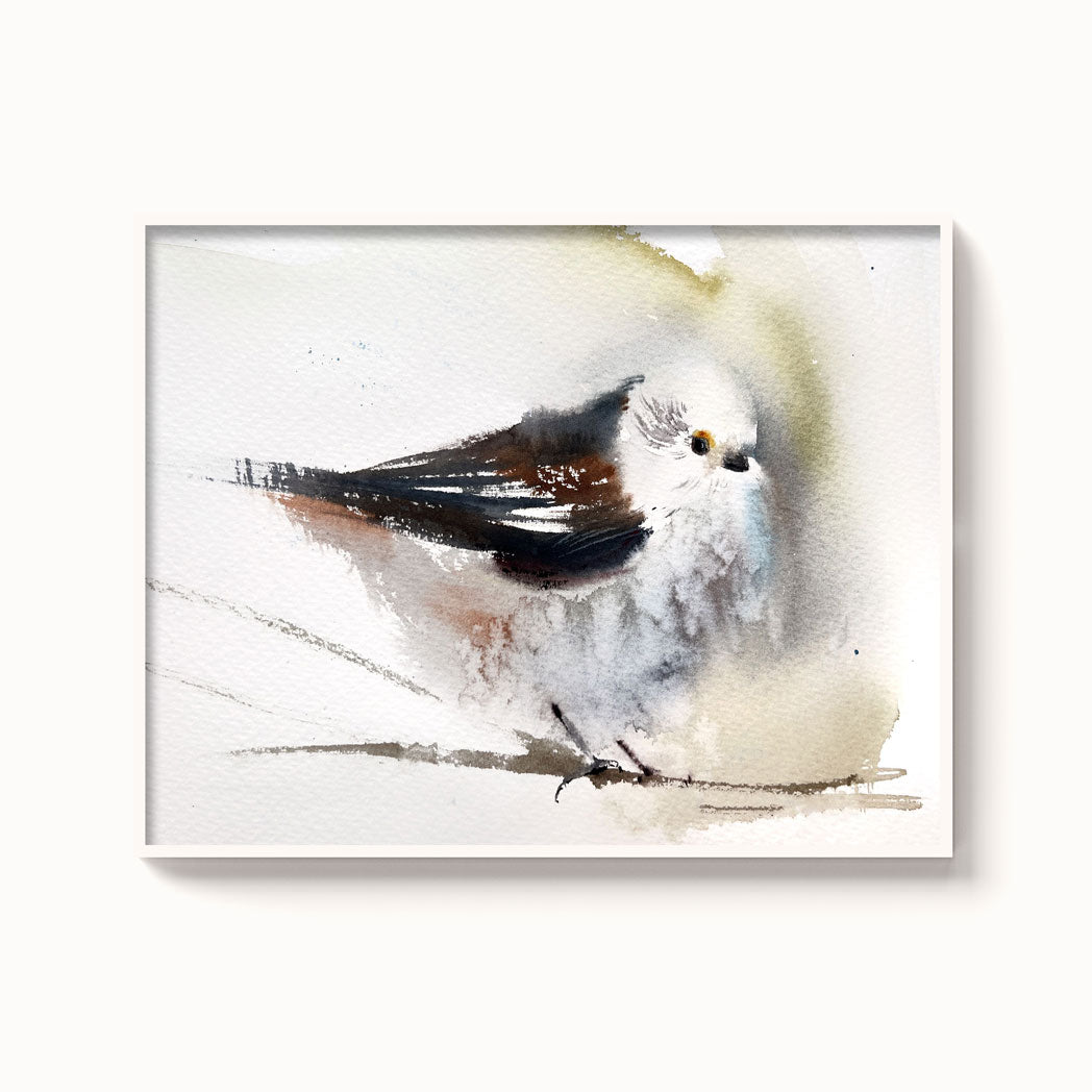 Birds-XVI - The Manify