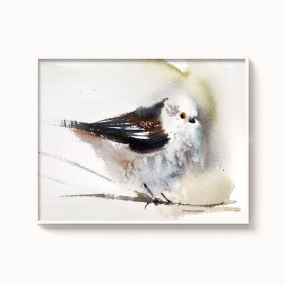 Birds-XVI - The Manify