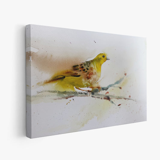 Birds-XVII - The Manify
