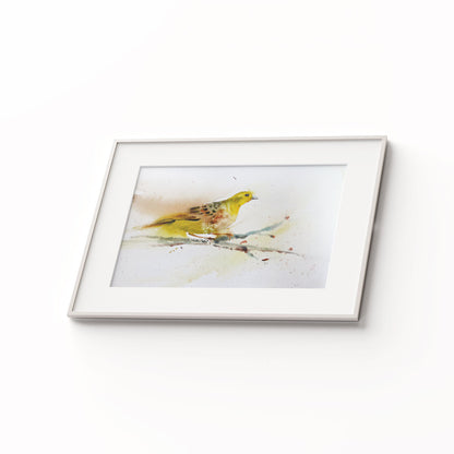 Birds-XVII - The Manify
