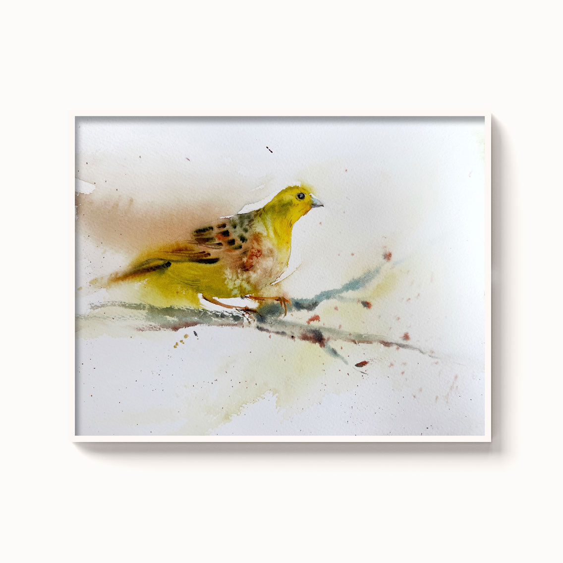 Birds-XVII - The Manify