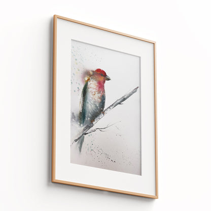 Bird-I - The Manify
