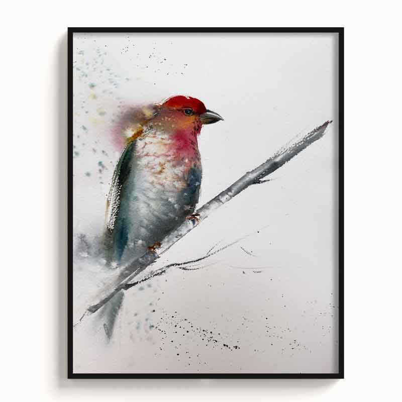 Bird-I - The Manify
