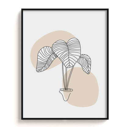 Boho Art (Copy) The Manify