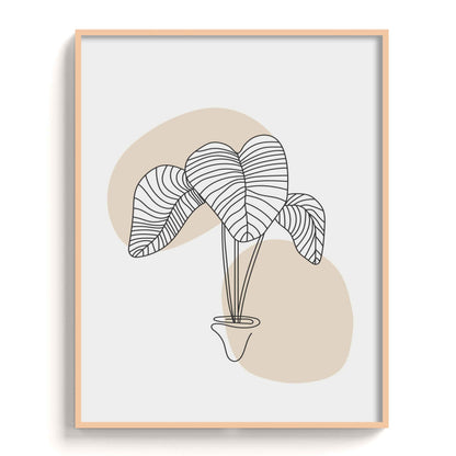 Boho Art (Copy) The Manify