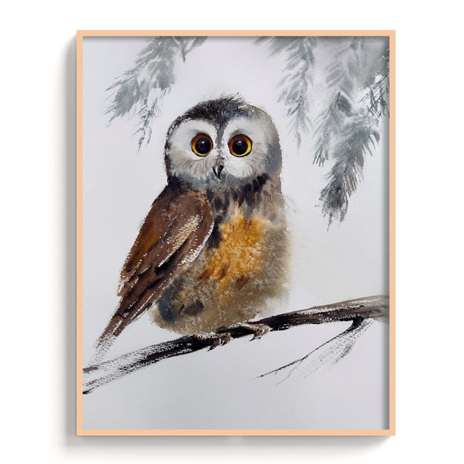 Owl-III - The Manify