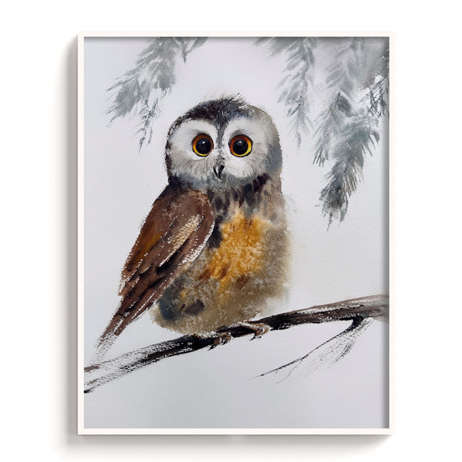 Owl-III - The Manify