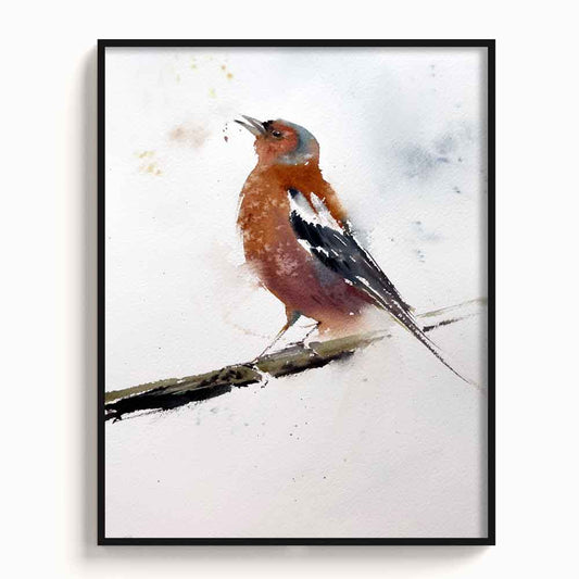 Birds-IV - The Manify