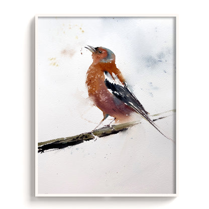 Birds-IV - The Manify