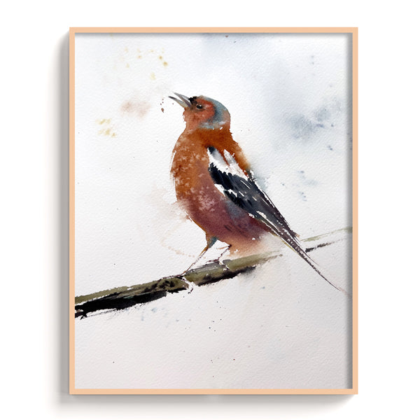 Birds-IV - The Manify