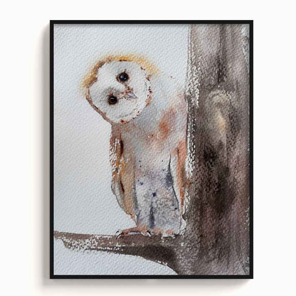 Owl-IV - The Manify