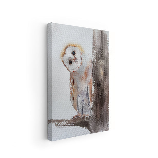 Owl-IV - The Manify