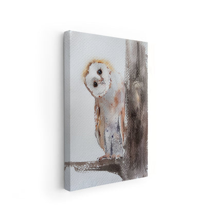 Owl-IV - The Manify