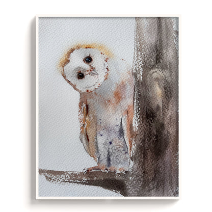 Owl-IV - The Manify