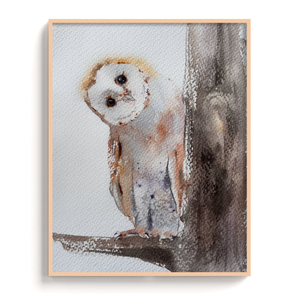 Owl-IV - The Manify