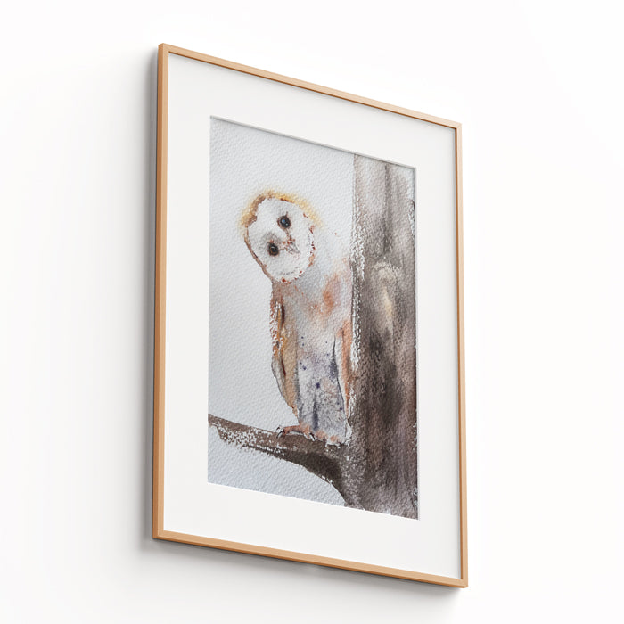 Owl-IV - The Manify