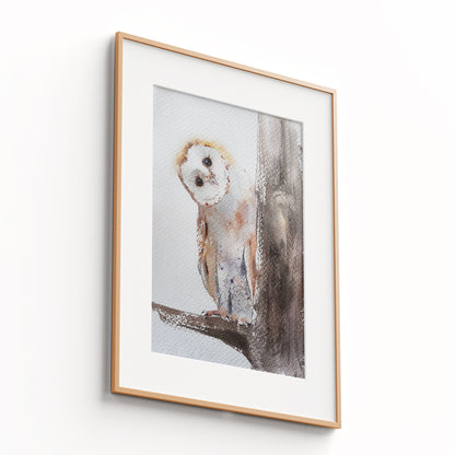 Owl-IV - The Manify